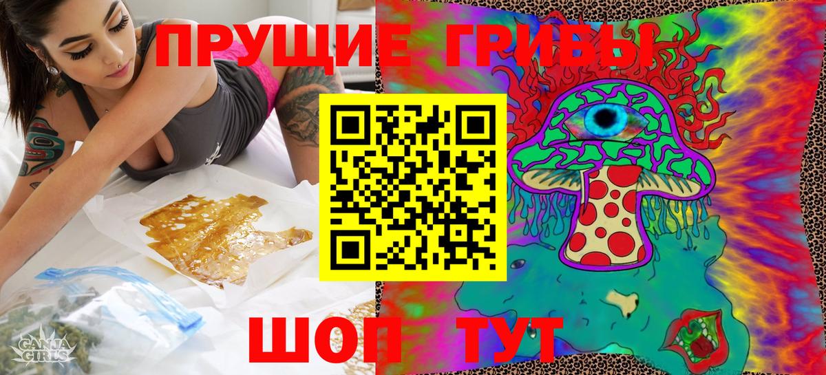 Псилоцибиновые грибы прущие грибы Кондопога