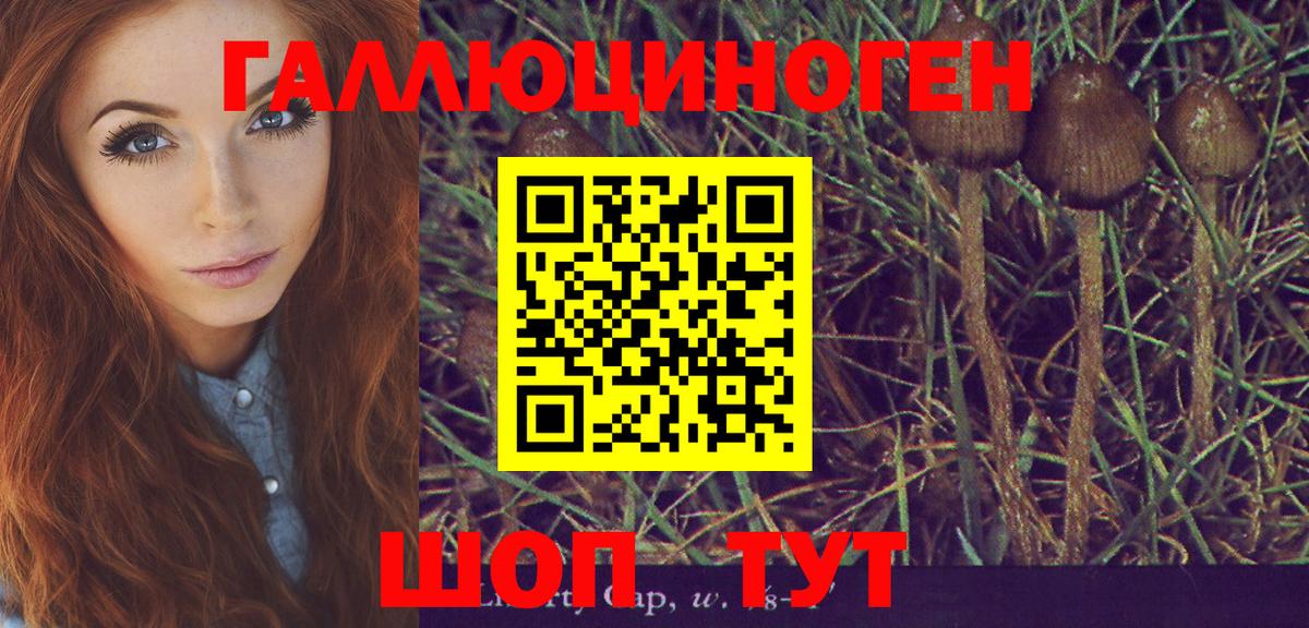 Кондопога  Псилоцибиновые грибы мухоморы  Вход с VPN 